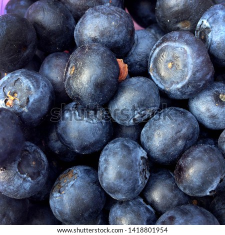 Macro Photo food blueberries berries. Texture pattern background of round blue blueberry berries. Image fresh berries blueberries