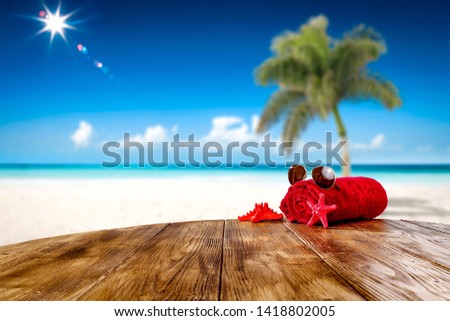 Summer background with free space for your decoration and green summer palm on beach. Sunny day and blue sky. 