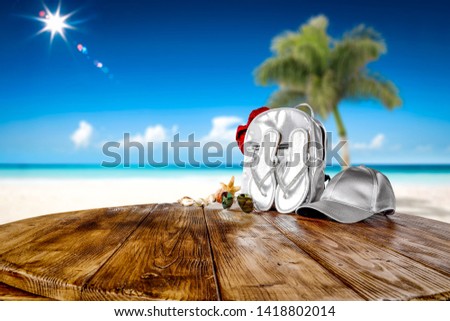 Summer background with free space for your decoration and green summer palm on beach. Sunny day and blue sky. 