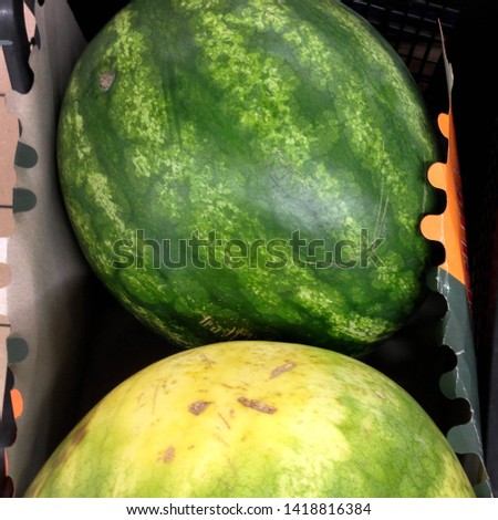 Macro Photo food fruit striped watermelon. Texture background striped green ripe watermelon berry. Image of food striped big watermelons