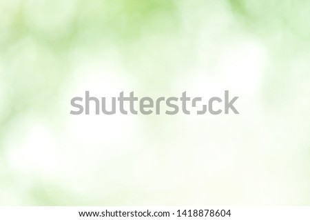 The Concept of Bokeh Green Leaf in a Park on Blur Green Background and have Space for Input Text. Bokeh is caused by the melting of the F1.8 lens. Green Area Wallpaper Design