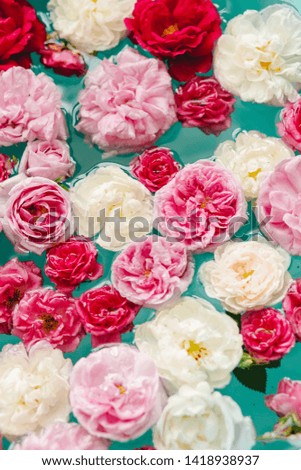 stunning floral texture of colorful roses in water on blue background