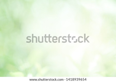 The Concept of Green Leaf in Park on Blur Green Background and have Space for Input Text . Green Area Wallpaper Design