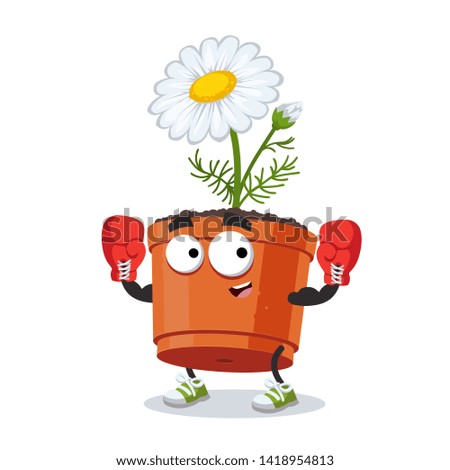 cartoon daisy flower in a pot mascot in red boxing gloves on white background