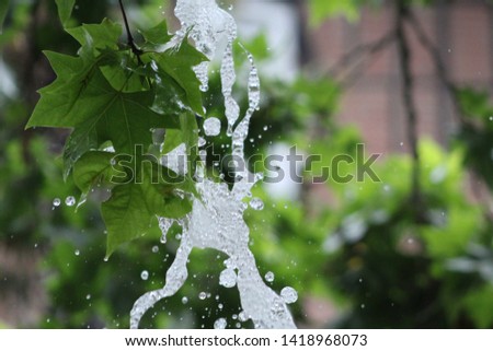 The gush of water of a fountain and green leaf. Splash of water in the fountain, abstract image.Foam in the sea. 