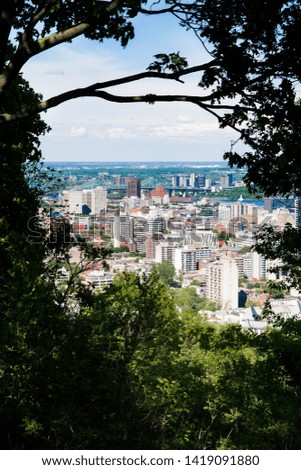 Panoramic view of downtown Montreal in the summer with tree in the frame.