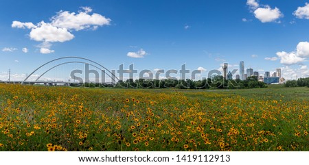 This is the picture of Dallas Skyline and Wild Flowers blue sky Dallas, Texas