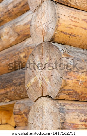 Wall made of round and large pine logs vertical pattern close-up traditional construction