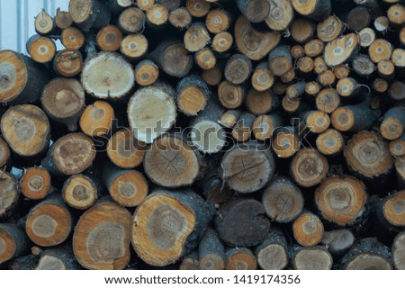 Wood logs of fruit trees cherry, pear, apple closeup. Trimming garden in spring. Preparation of firewood for the winter. 