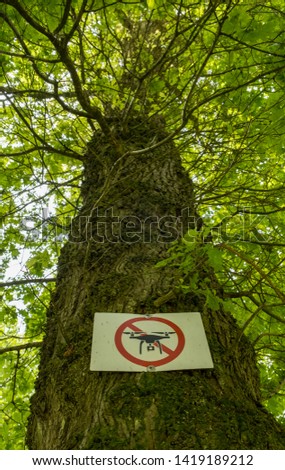 No drone zone sign on the bark of a large tree. Red circle with a red line going diagonal through the centre, black drone picture in the middle on white background. Tree bark with branches and leaves 