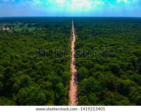Road in the middle of the green forest