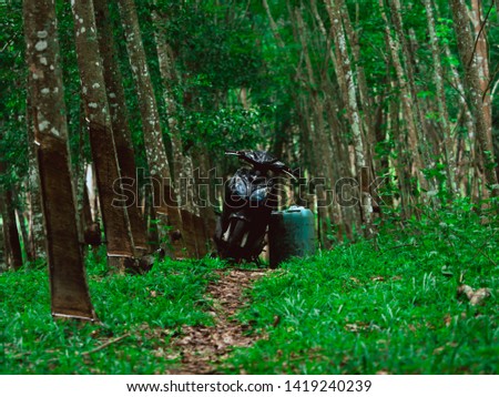 Motorbike parking at rubber plantation for transport liquid rubber in blue green tank to sale, soft focus picture and soft light