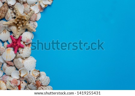 Summer Time Concept With Sea Shells And Starfish On A Blue Background
