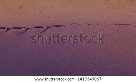 texture and background of purple foam rubber with a gradient during daytime