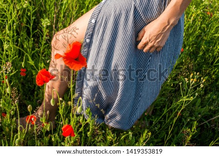Dreamy woman in blue striped dress is standing and showing her legs in a beautiful herb flowering poppy field