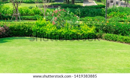 Fresh green burmuda grass smooth lawn as a carpet with curve form of bush, trees on the background, good maintenance lanscapes in a garden under morning sunlight