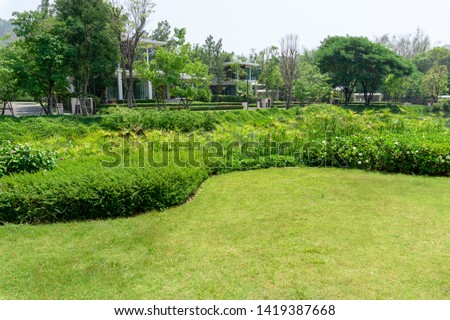 Fresh green grass smooth lawn as a carpet with curve form of bush, trees on the background, good maintenance lanscapes in a garden under cloudy sky and morning sunlight