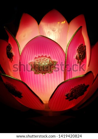 Pink lotus lamp on a black background