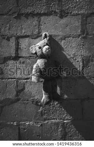 A gray toy bear hung by the ear on a gray wall. Depressive photo, unhappy childhood concept.