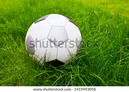 A football ball at the field background of thick green grass, a close-up. 