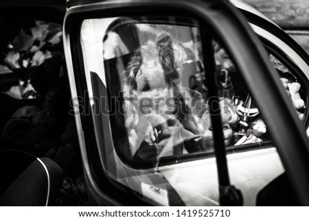 old doll looks out of the car window, background for halloween, scary picture