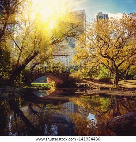 Central Park pond and bridge. New York, USA. Royalty-Free Stock Photo #141954436