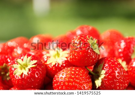 ripe fresh strawberries closeup in summer garden. Top view. Bokeh effect