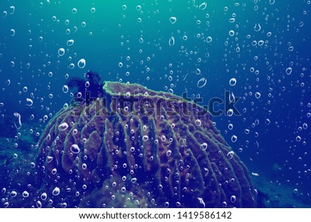 background underwater air bubbles reef / abstract sea background, diving, nature, ocean