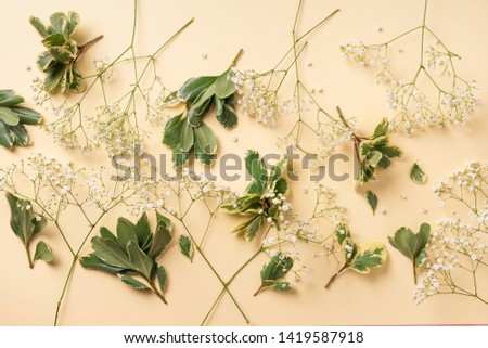 Small white gypsophila flowers on pastel yellow background. Women's Day, Mother's Day, Valentine's Day, Wedding concept. Flat lay. Top view. Copy space.