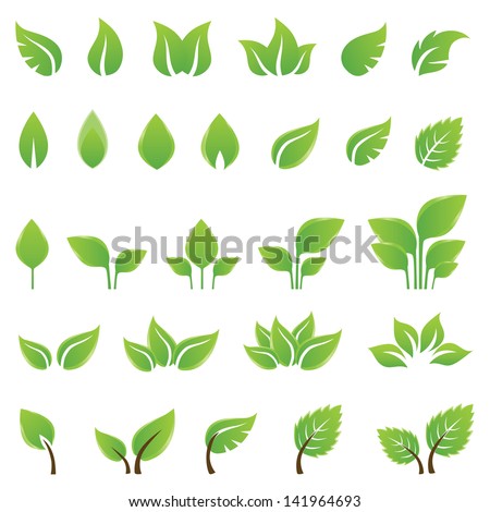 Set of green leaves design elements. This image is a vector illustration.