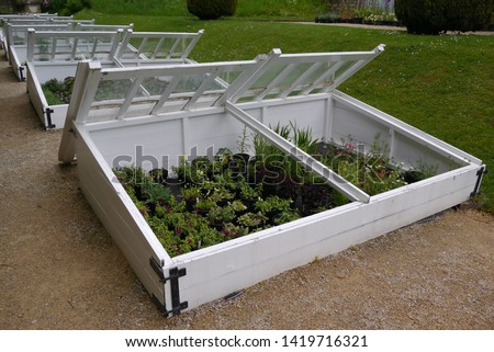 White Wooden Cold Frame Protecting Tender Young Plants From Frost Royalty-Free Stock Photo #1419716321