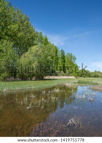 Typical landscape of the Salburua Wetlands on a sunny day spring, Vitoria-Gasteiz, Basque Country, Spain