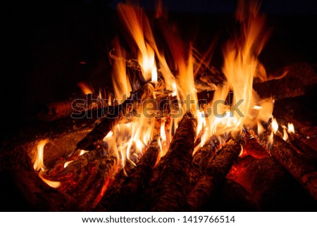 Summer bonfire in nature on Lake Ladoga