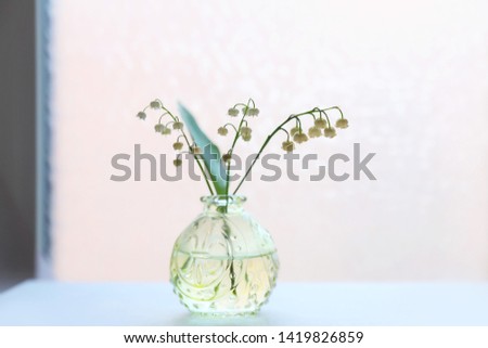 White lilies of the valley at the window, on a white background