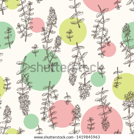 Seamless pattern with of thyme: leaves and flowers of thyme. Vector hand drawn illustration. 