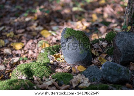 large rock in sand in countryside, isolated stone