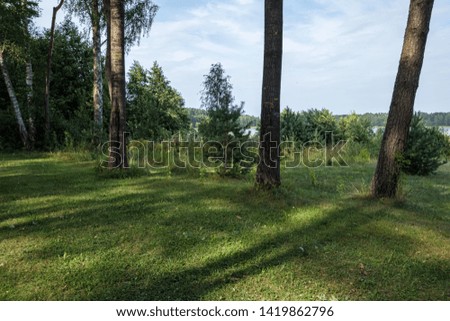sunny countryside garden with green meadow and greenhouse in summer