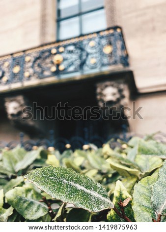 Green tree leaves against the unfocused vintage ancient balcony.
