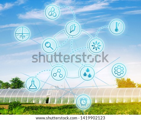 Biotechnology in the agro-cultural industry. High technologies and innovations. Farming and agronomy. Selection of agricultural plants. Agricultural mechanization. Greenhouses for vegetables. Royalty-Free Stock Photo #1419902123