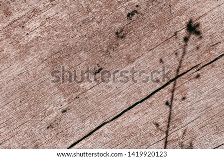 abstract background from old wood texture closeup