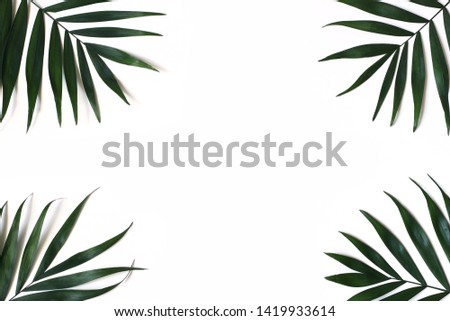 Styled stock photo. Jungle composition of lush green palm leaves isolated on white background. Tropical summer holiday, vacation concept. Botanical frame, exotic flat lay, top view.