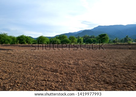 Nature landscape with bright blue sky and farm field to prepare the soils then grows rice in countryside, Thailand.