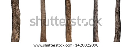 isolated tree trunk Collection on White background. Royalty-Free Stock Photo #1420022090
