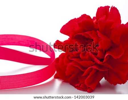 red carnation and ribbon on white background