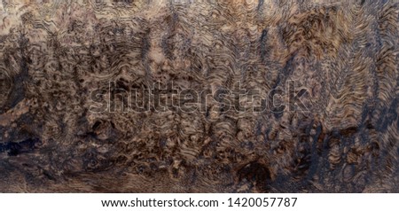 Nature persimmon burl wood striped for Picture prints interior, Exotic wooden beautiful pattern for crafts or abstract art background