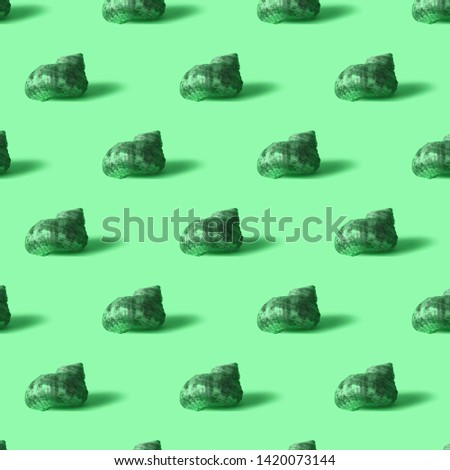Seamless colorful pattern of shells on green color background. Conceptual modern trendy style. Minimal background