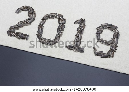 2019 New Year creative banner made up of many black sunflower seeds, with white linen as background