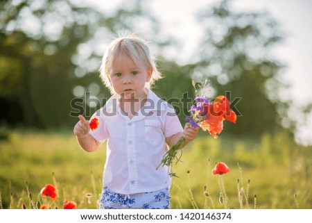 Happy beautiful toddler child, holding bouquet of wild flowers on sunset in poppy field