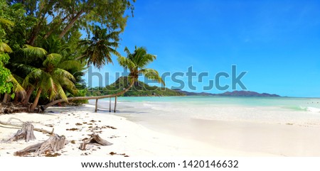 Picture of a true paradise beach in seychelles
