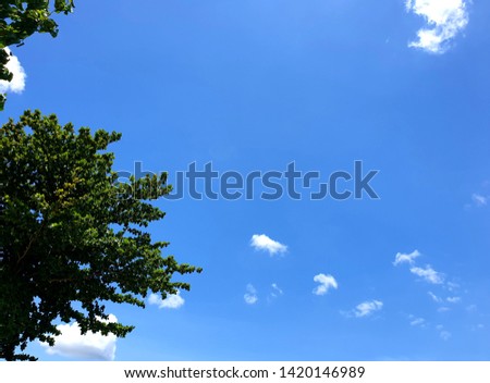 Blue sky, small white clouds and tree